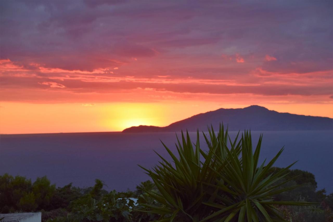 Villa Damecuta B&B Anacapri  Eksteriør billede