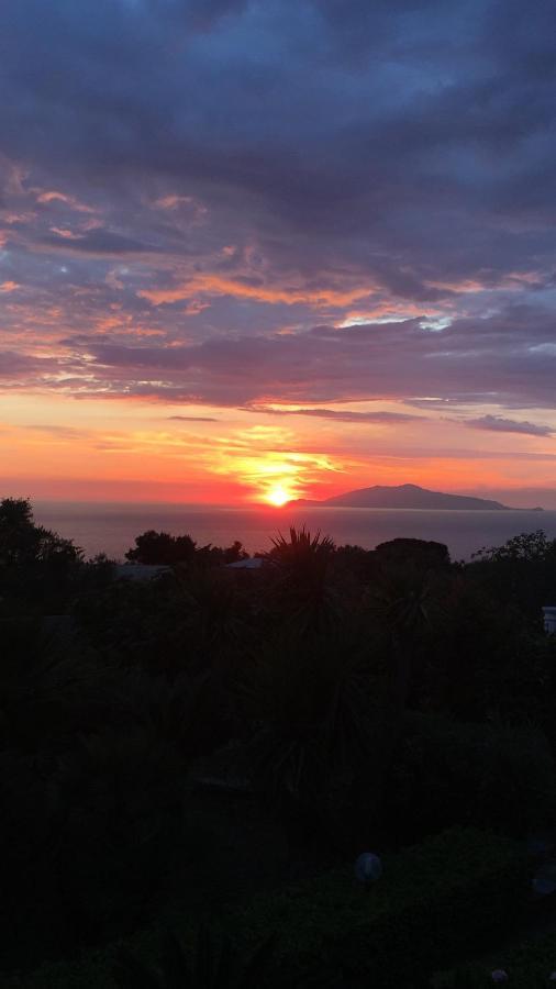 Villa Damecuta B&B Anacapri  Eksteriør billede