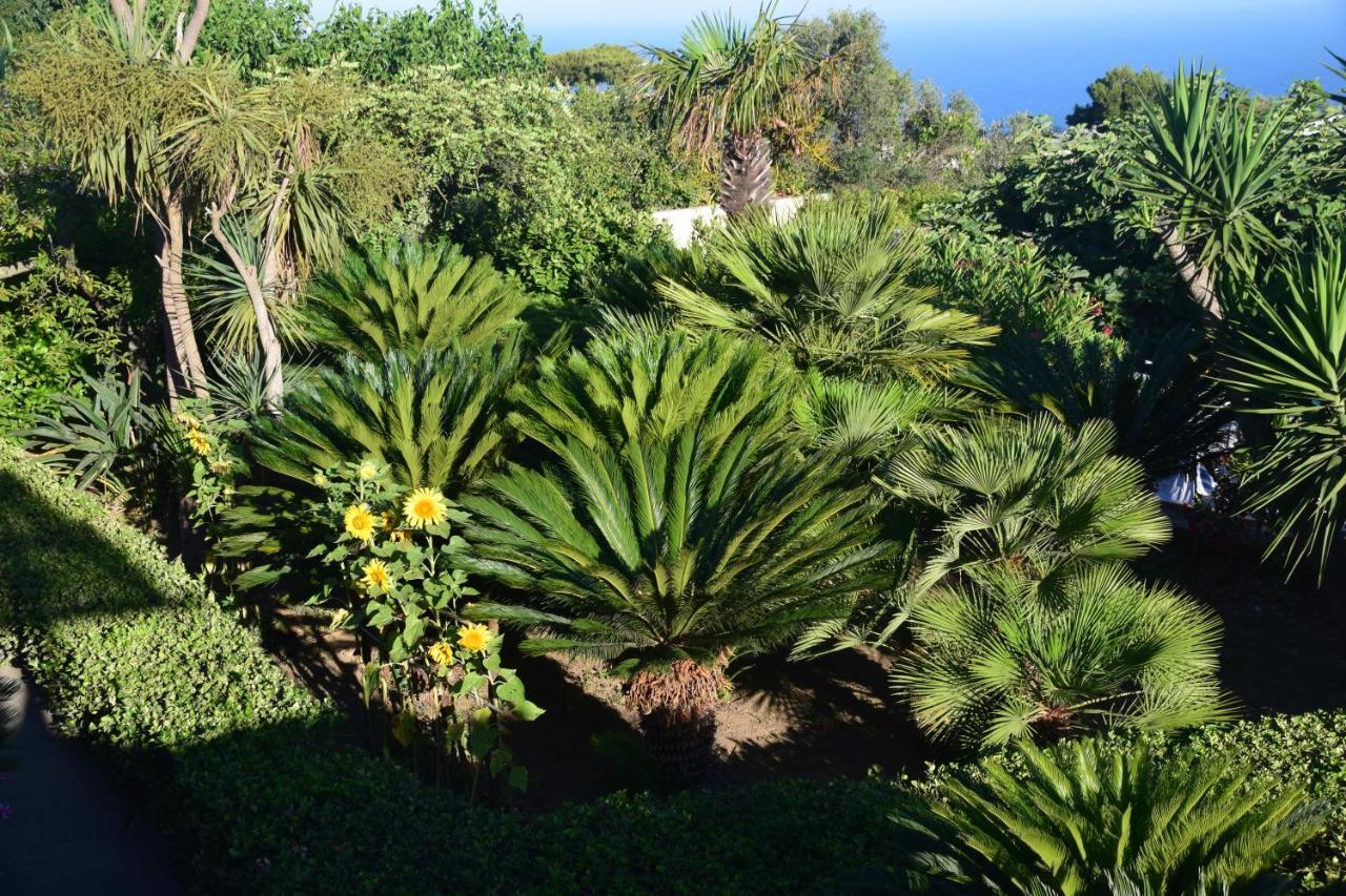 Villa Damecuta B&B Anacapri  Eksteriør billede