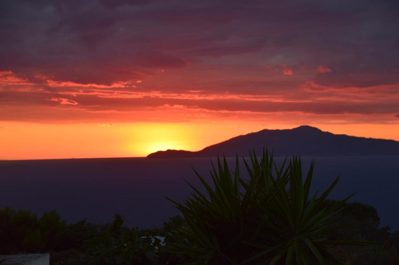 Villa Damecuta B&B Anacapri  Eksteriør billede