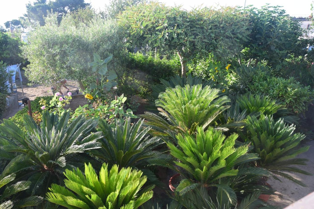 Villa Damecuta B&B Anacapri  Eksteriør billede